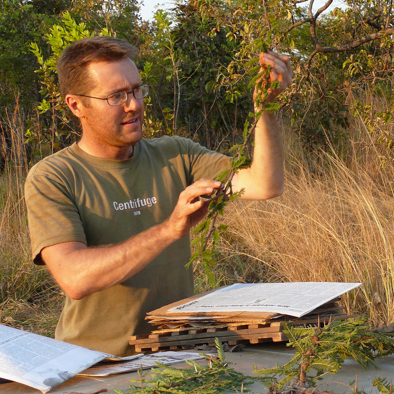 Andy Marshall tree identification research