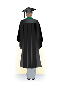 Honorary Senior Fellow academic dress, back