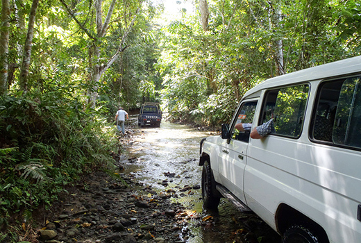 4WD driving through rainforest