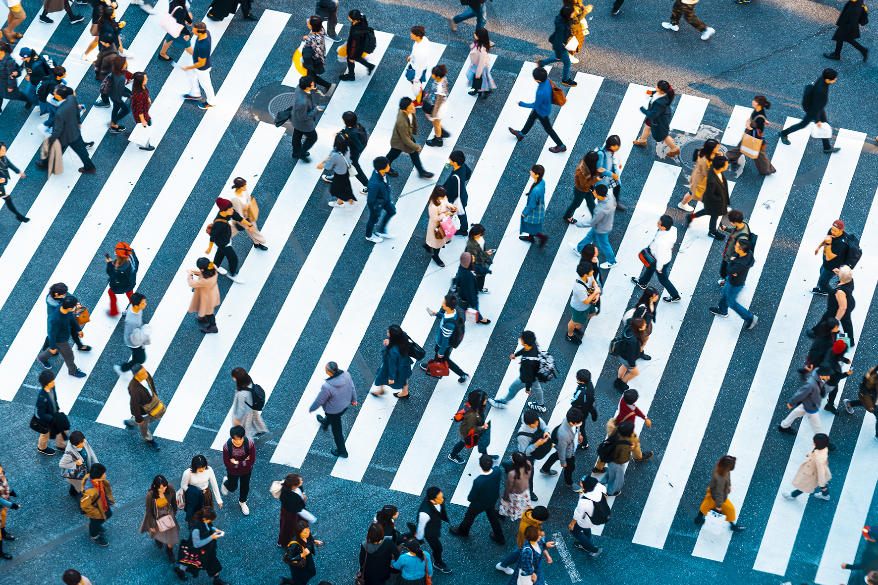 Aerial view of people on a pedestrian crossing
