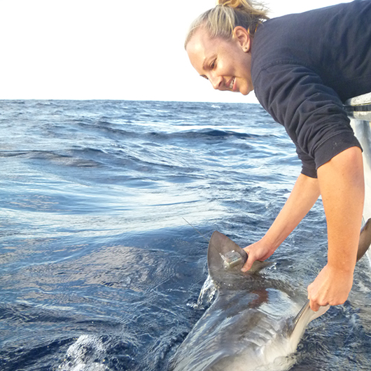 USC Marine biologist Dr Bonnie Holmes 