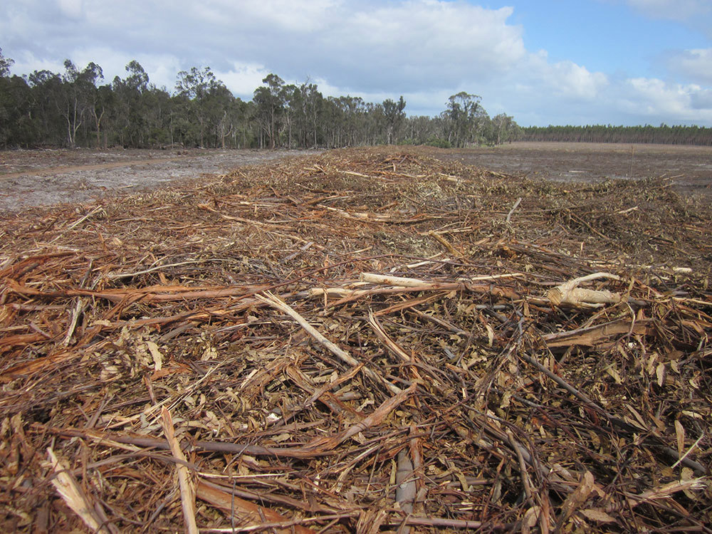 Biomass slash piles