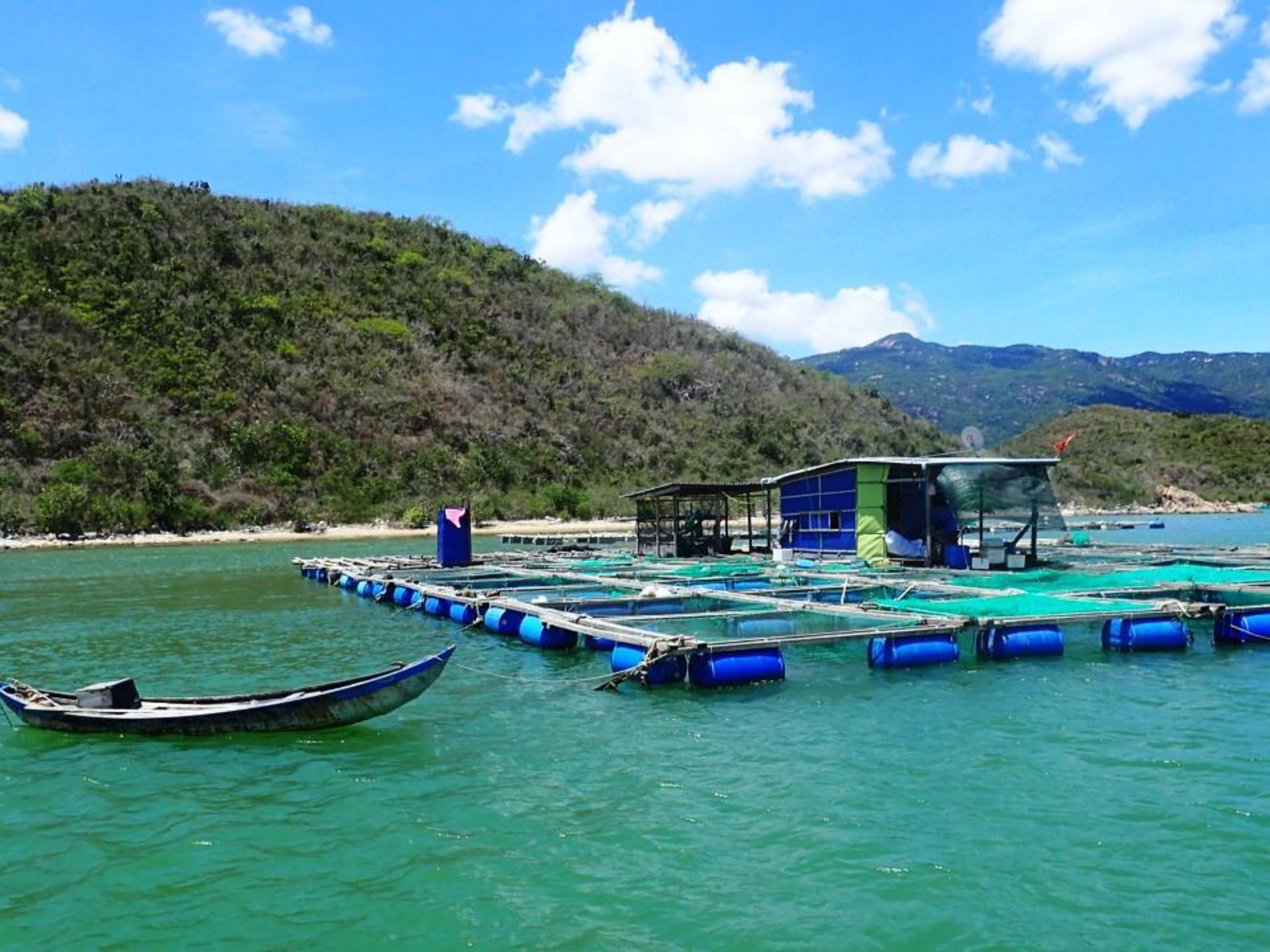 Aquaculture Raft