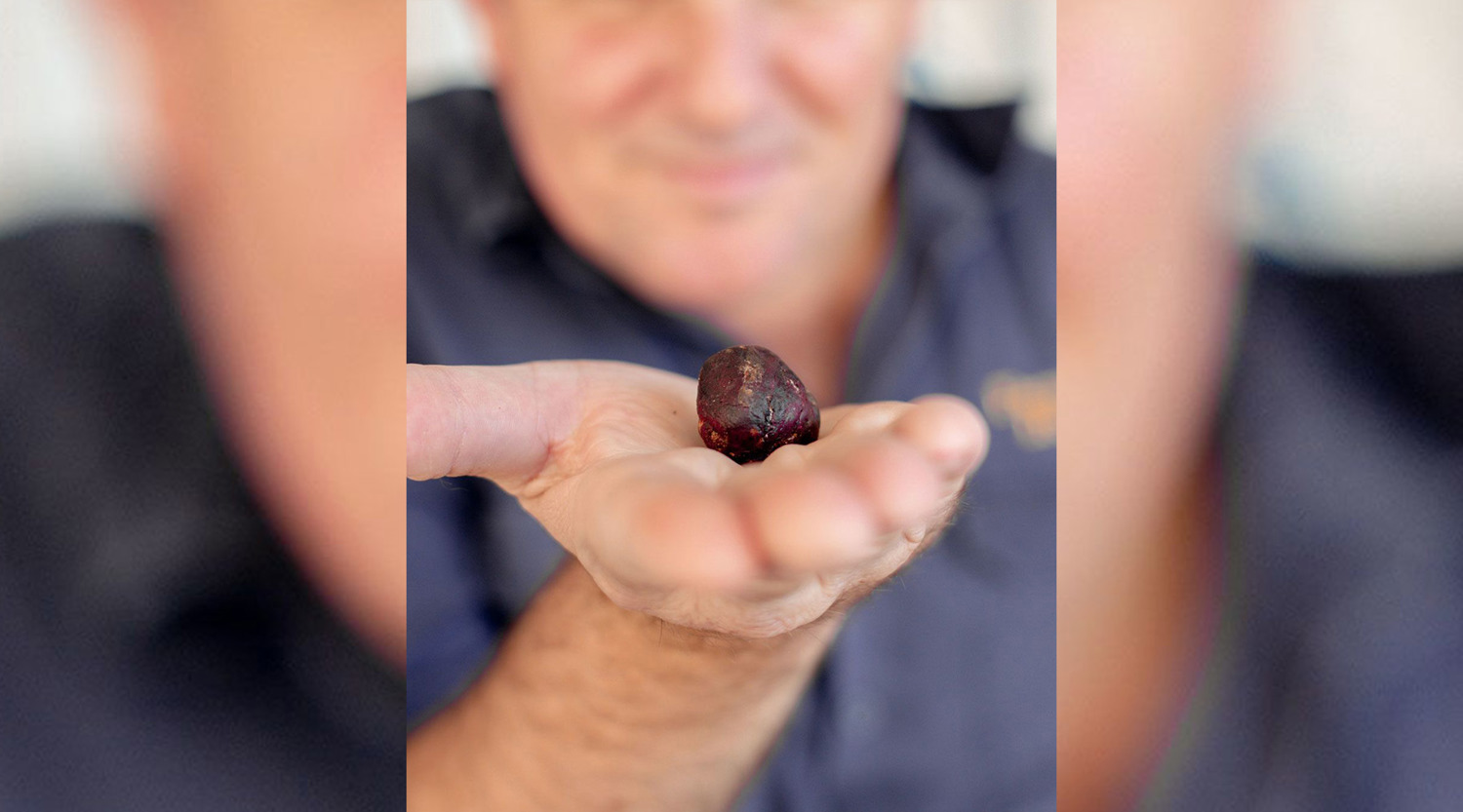 person holding a small ball of propolis