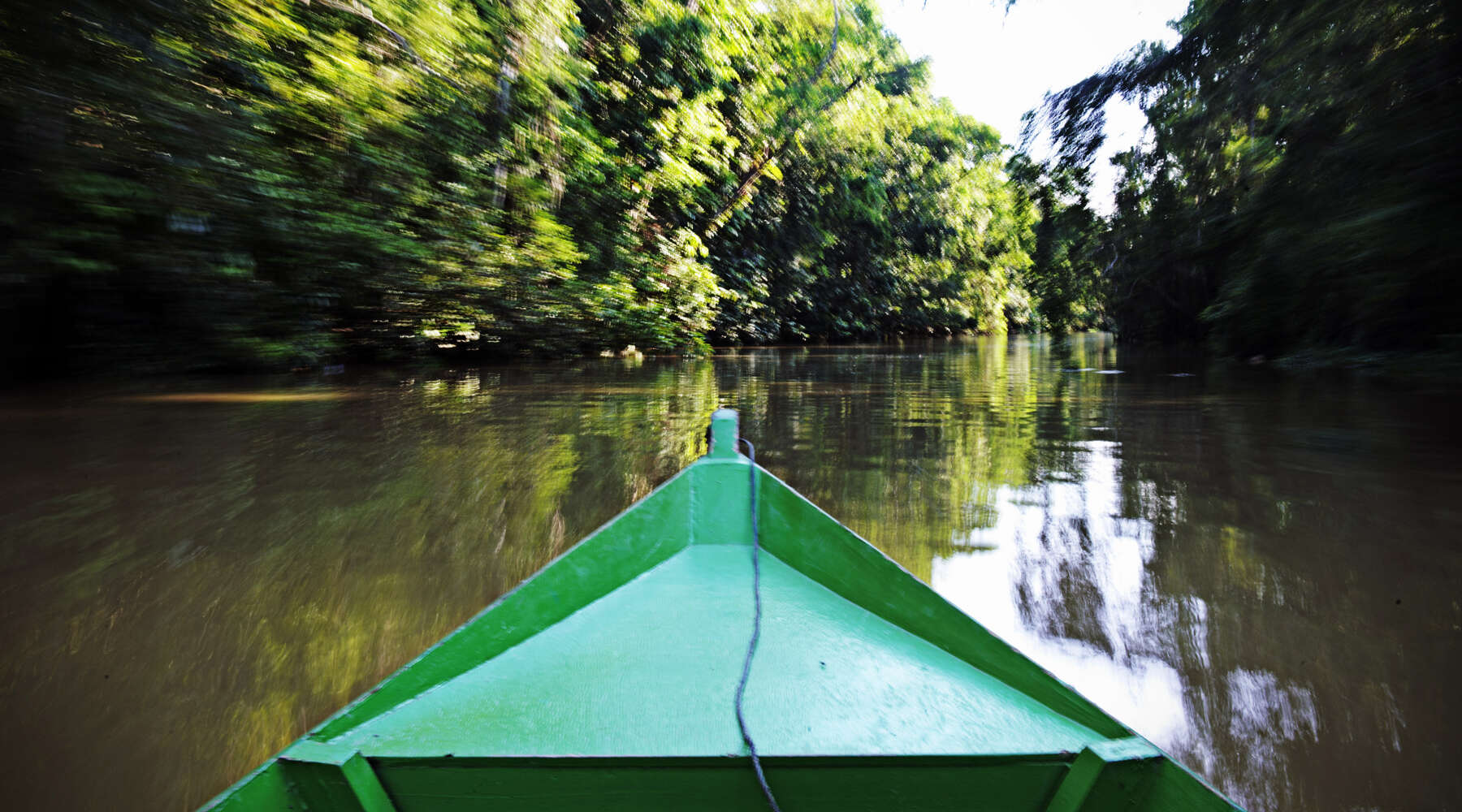 small boat sailing through mangroves