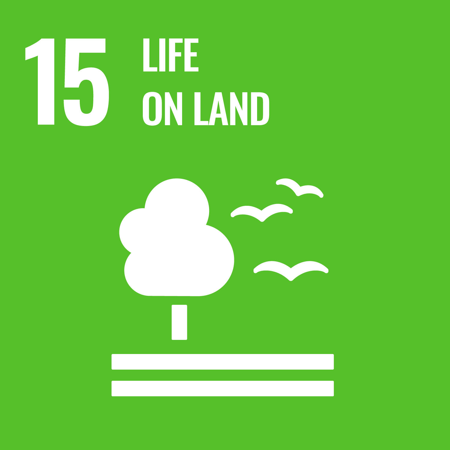 United Nations Sustainable Development Goal 15: Life on land